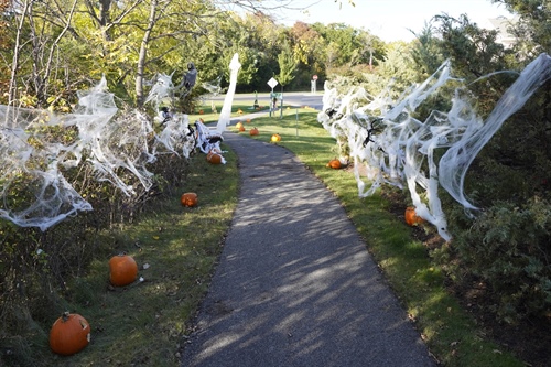 Pumpkin Walk