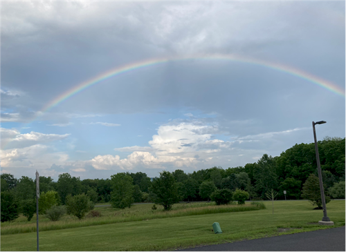 Rainbow Connection